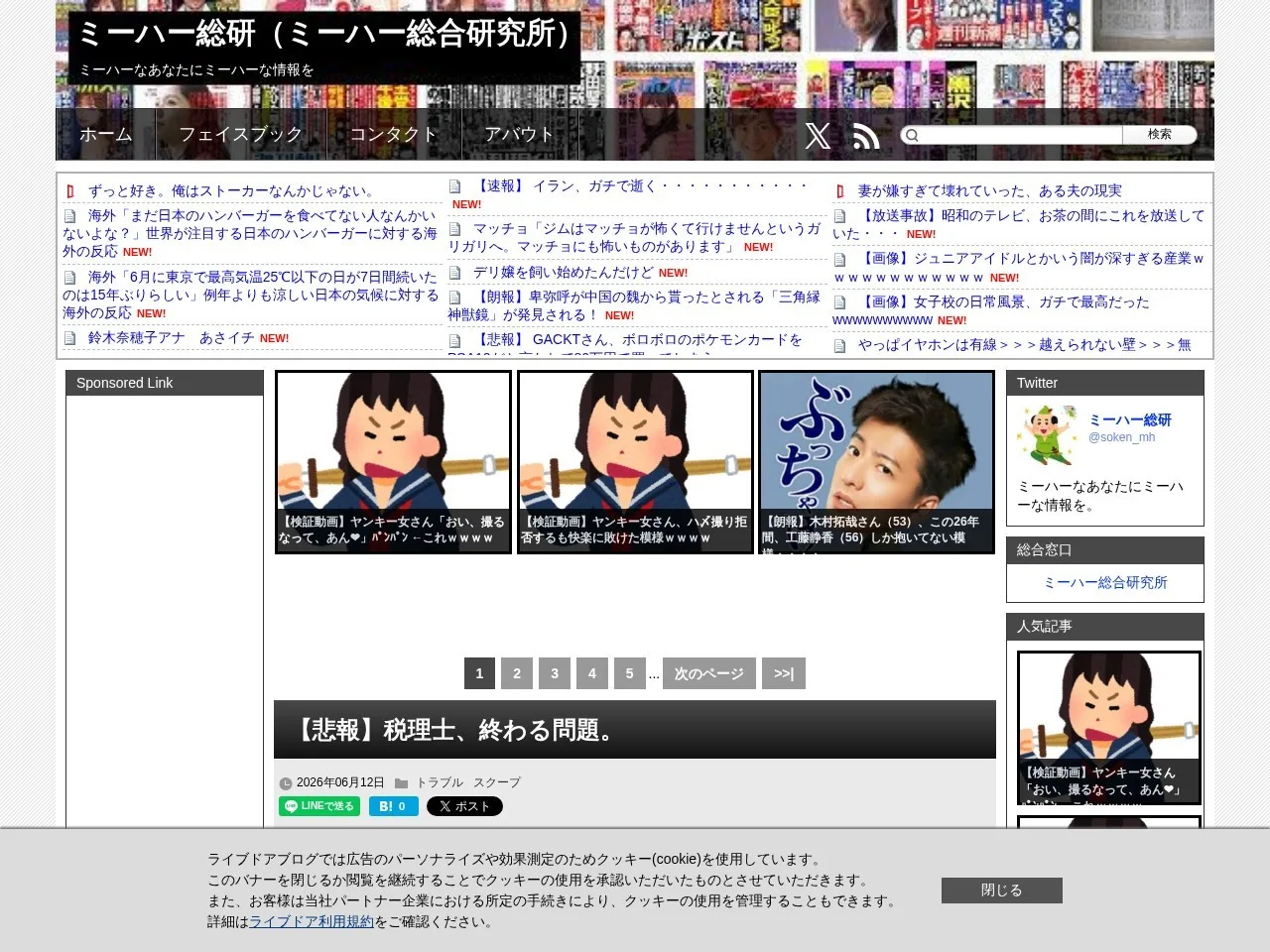 ミーハー総研（ミーハー総合研究所）のスクリーンショット